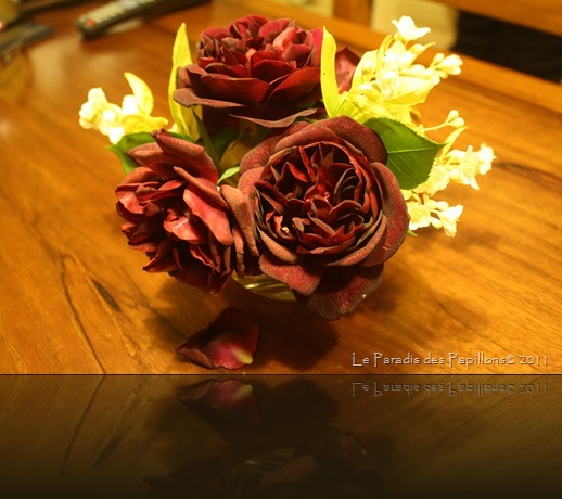IMG_4482 IMG_4482