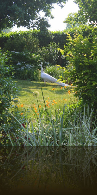 IMG_4614 IMG_4614