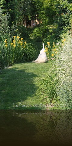 IMG_4634 IMG_4634