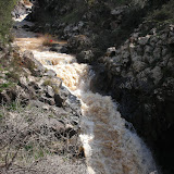 DSCN0482.JPG