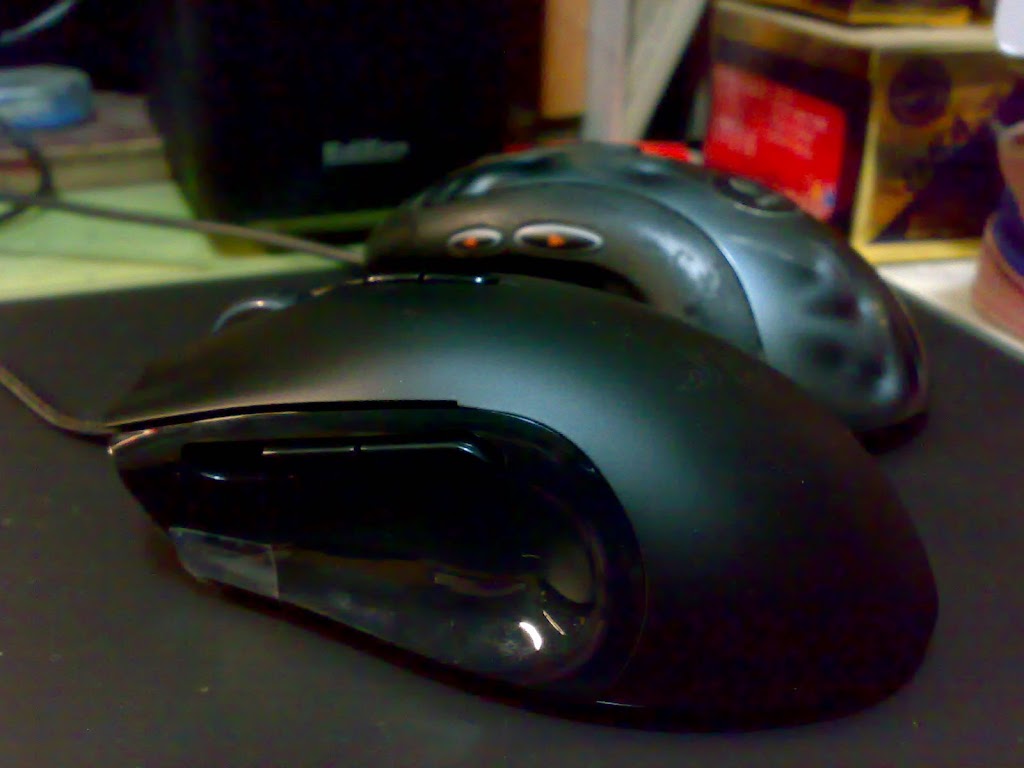 20100121386.jpg