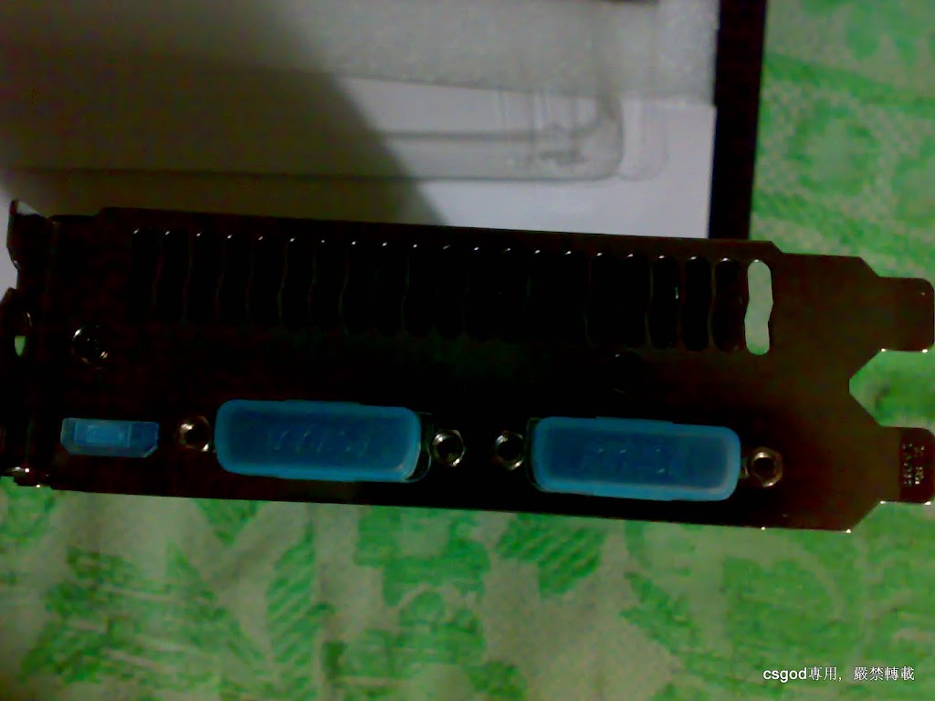 20110128559.jpg