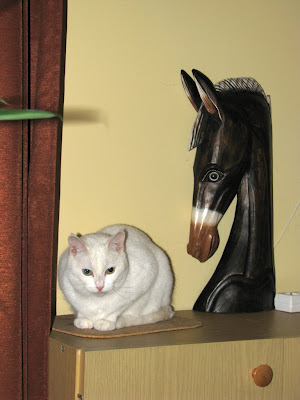 Obrazek