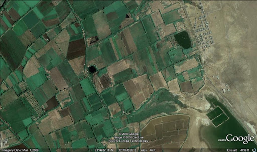 Input Image