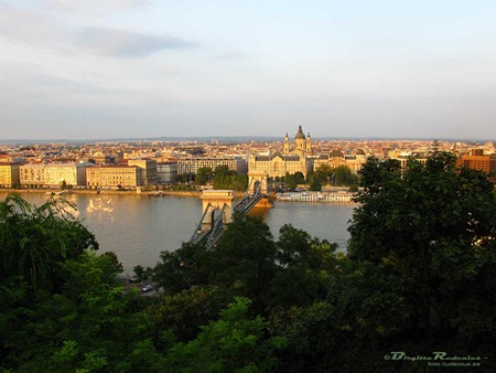 [vy_20100805_G9_pest1[2].jpg]