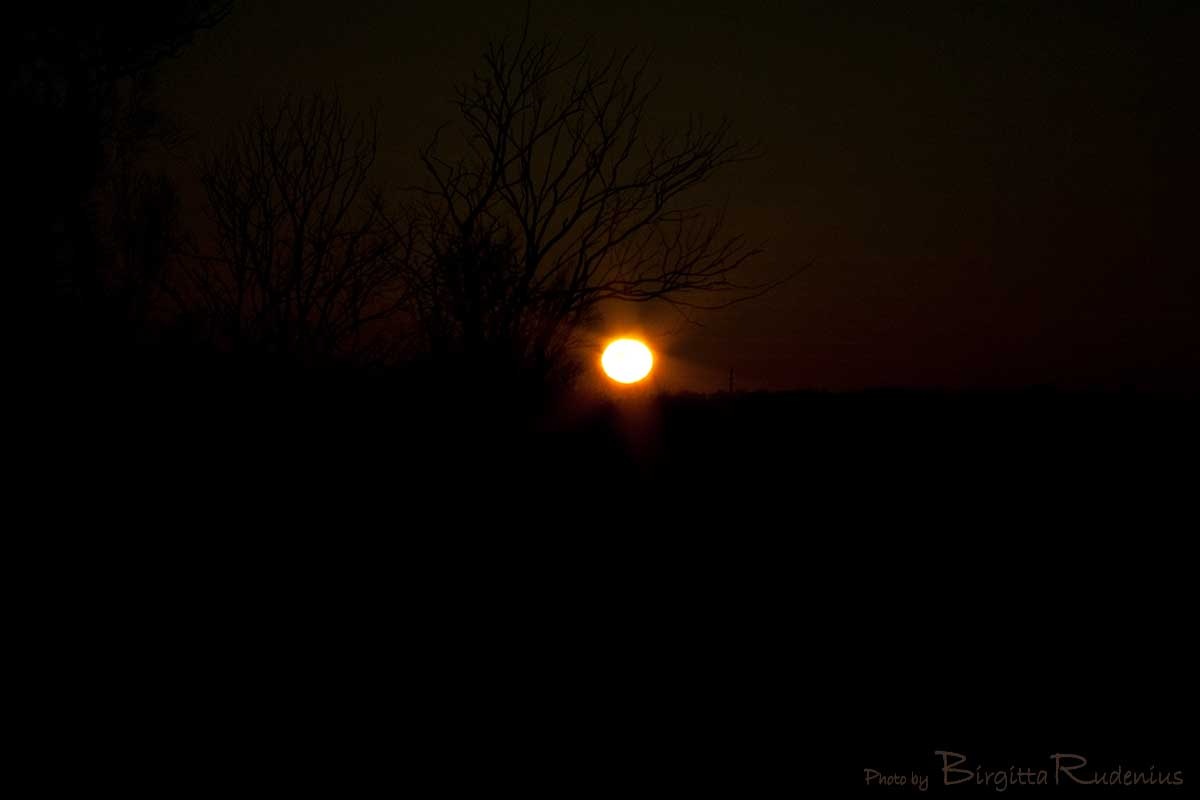 [sky_20110326_sunset[2].jpg]