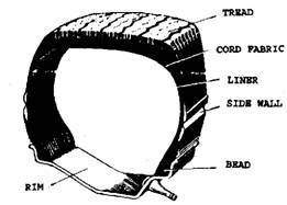 Sectional view of a tyre. 