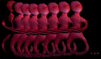 erotes