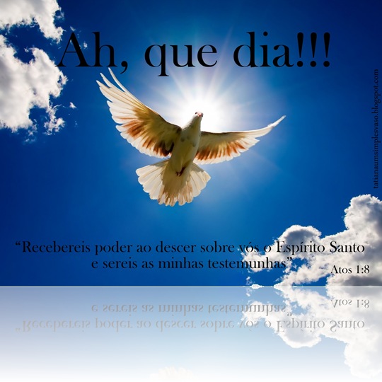 pomba-da-paz pomba-da-paz