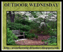 [outdoorwed..png]