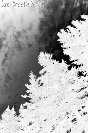 image2-infrared