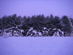IMGP4258.JPG