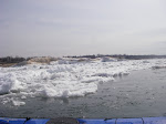 IMGP4510.JPG