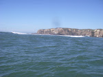 IMGP4378.JPG