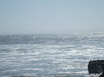 DSC00503.JPG