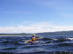 IMGP3414.JPG