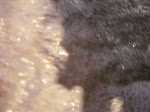 IMGP3631.JPG