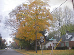 IMGP3967.JPG