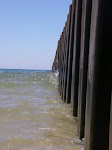IMGP4686.JPG