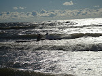 DSC01291.JPG