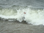 DSC01415.JPG