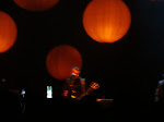 DSC01768.JPG