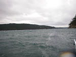 IMGP0215.JPG