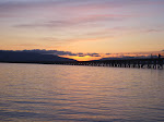 IMGP0167.JPG