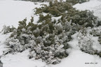 IMG_9319.JPG