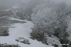 IMG_9272.JPG