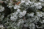 IMG_9235.JPG