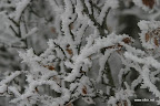 IMG_9244.JPG