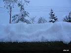 P1100029.JPG