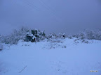 P1100035.JPG