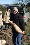 DSC09639.JPG
