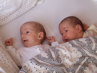 DSCF5445.JPG