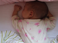 DSCF5450.JPG