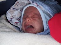 DSCF5458.JPG