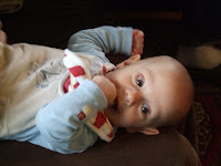 DSCF6549.JPG