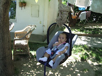 DSCF8711.JPG