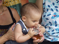 DSCF8955.JPG