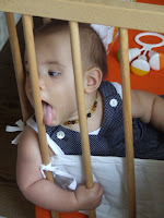 DSCF9648.JPG