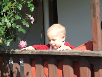 DSCF1233.JPG