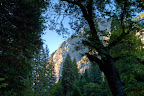 Yosemite National Park