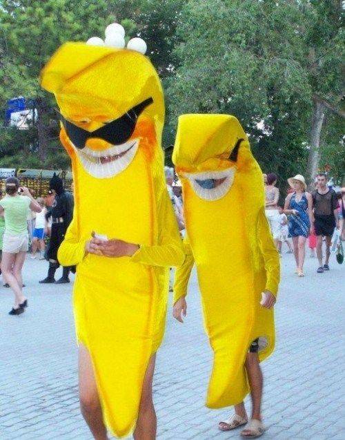 funny_mix_pictures_7.jpg