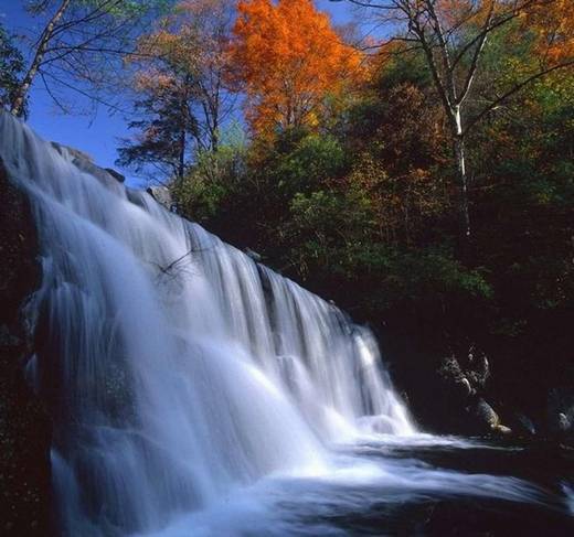 fantastic_nature_13.jpg