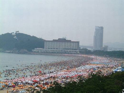 funny_korean_beach_4.jpg