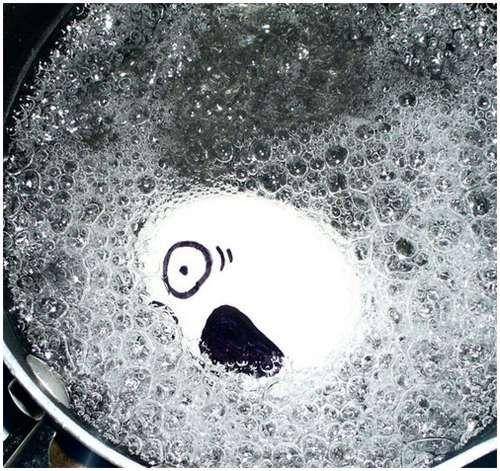 funny_creative_pictures_eggs_6.jpg