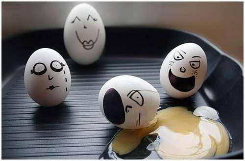 funny_creative_pictures_eggs_7.jpg