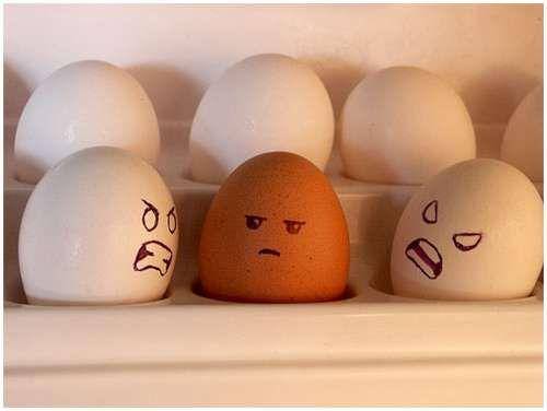 funny_creative_pictures_eggs_8.jpg